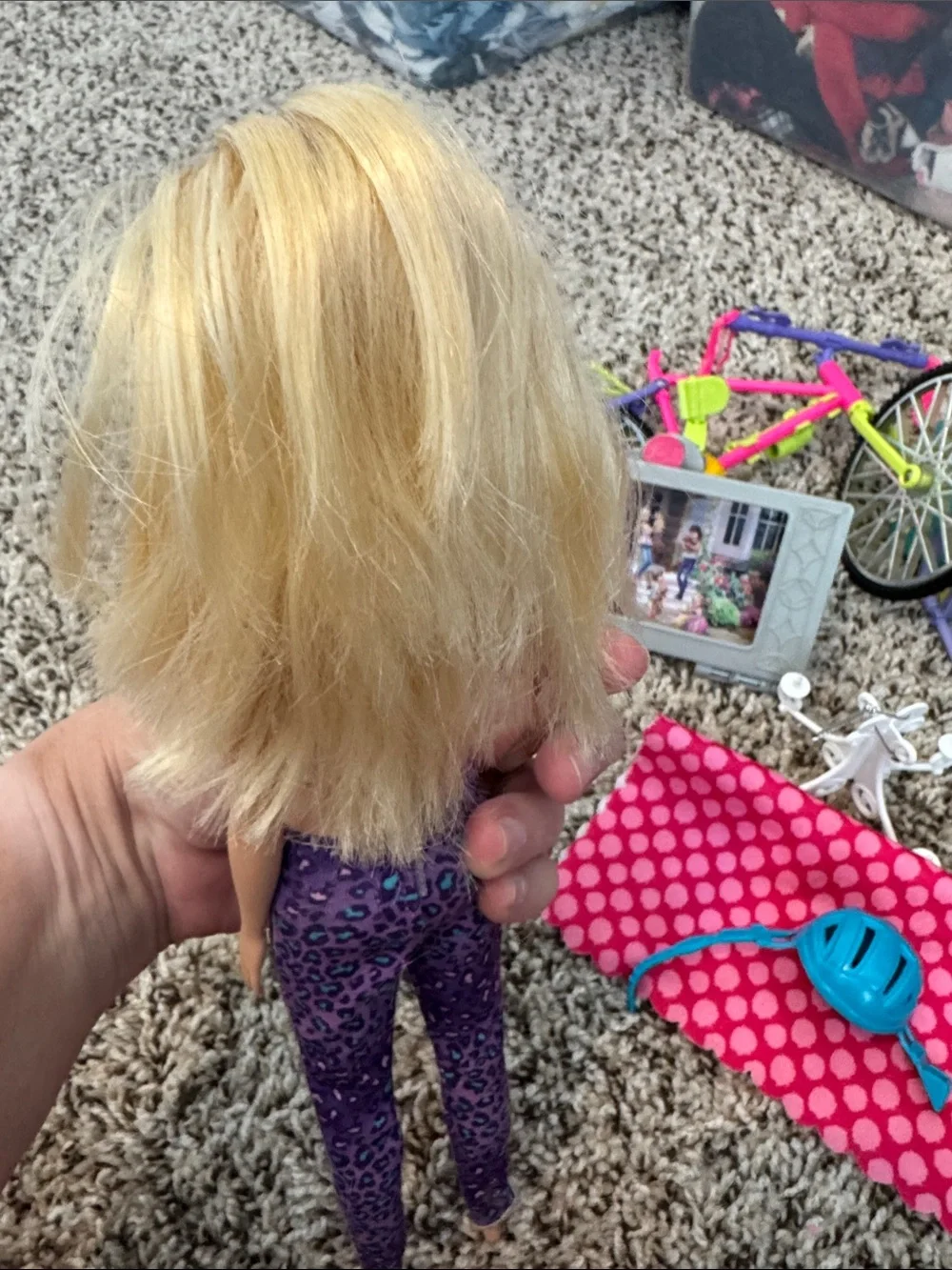 Barbie Doll with Accessories